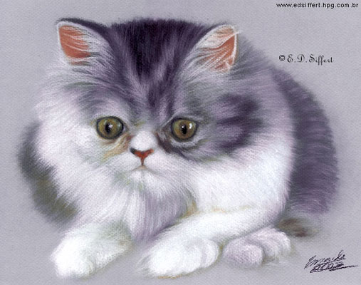 Gatti (74)